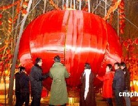 郑州大红灯笼彩灯文化有限公司