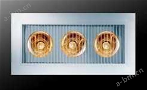 欧安尼卫厨电器-条形扣板电器系列-取暖模块