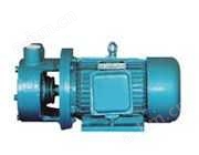 扬子江1W型单级漩涡泵