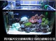四川省成都市超白玻璃“鱼缸玻璃系列”