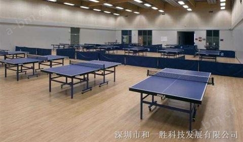 乒乓球球室用塑胶地板
